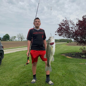 Meet your Posher, Metz